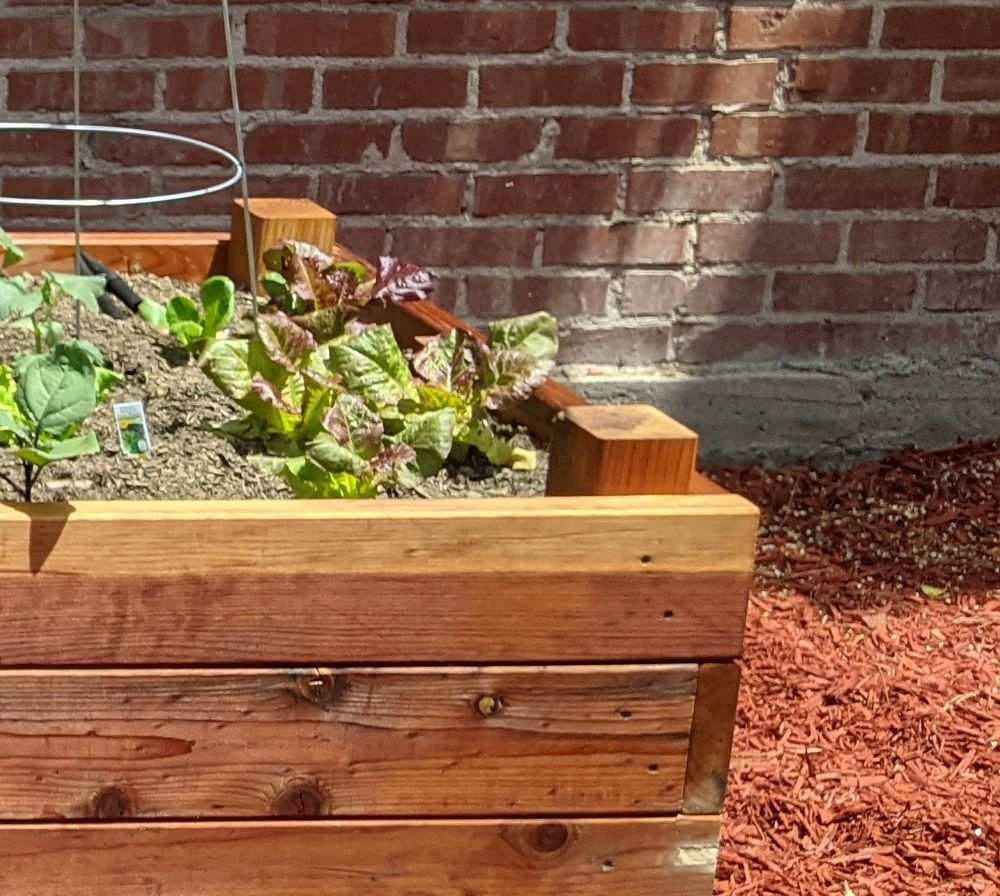 How To Build A Raised Garden Bed